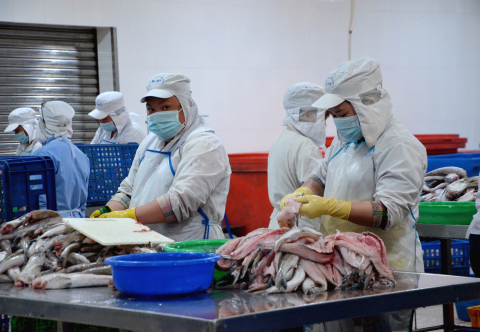 Lorem ipsum is placeholder text commonly used in the graphic